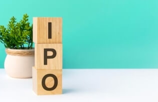 Idea to IPO workshop