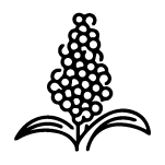 Entrepreneurship Development Program